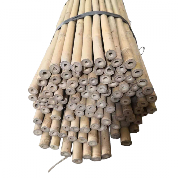 Бамбуковые опоры 20/22 длина 2,95м
